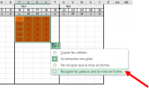 Excel DL.png