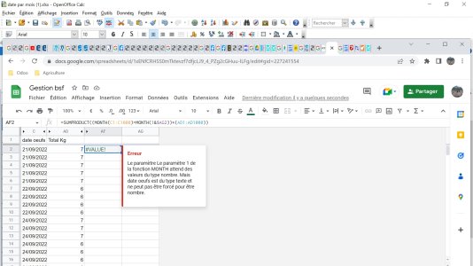 erreur sheet.jpg