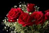Bouquet Roses.jpg
