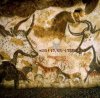 Lascaux ISO c.jpg