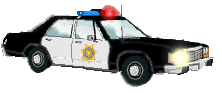 AutoPolice1.gif